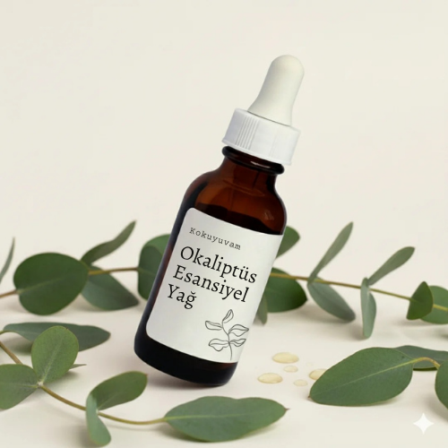 Okaliptüs Kokusu (10 ml)