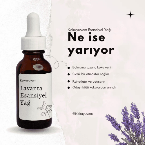 Lavanta Kokusu (10 ml)