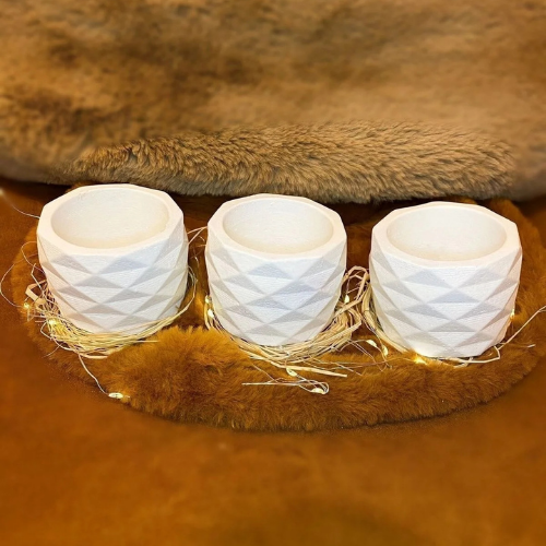 Beyaz Sukulent Vazo Seti