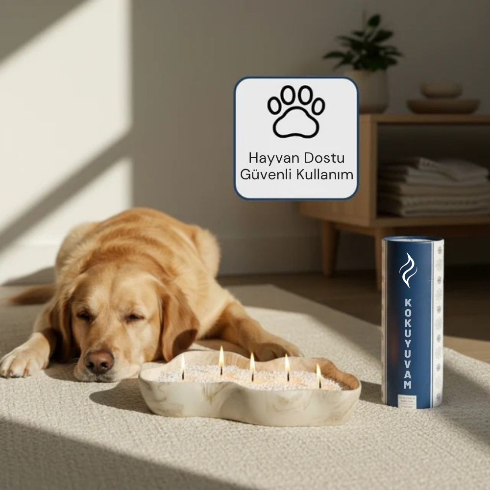 Kokuyuvam® - İnci Mum