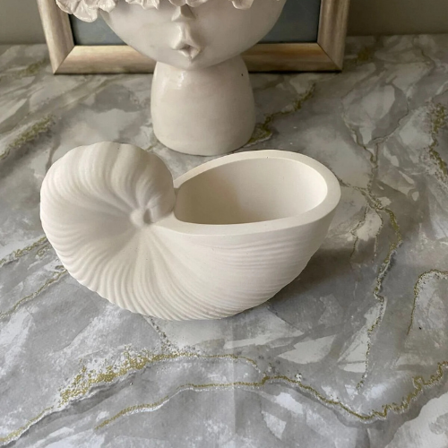 Deniz Kabuğu Dekoratif Kase