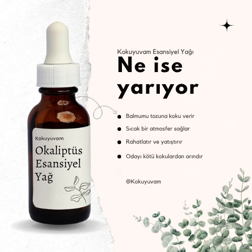 Okaliptüs Kokusu (10 ml)